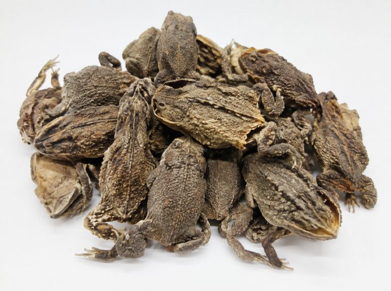 蟾衣与无硫蟾衣